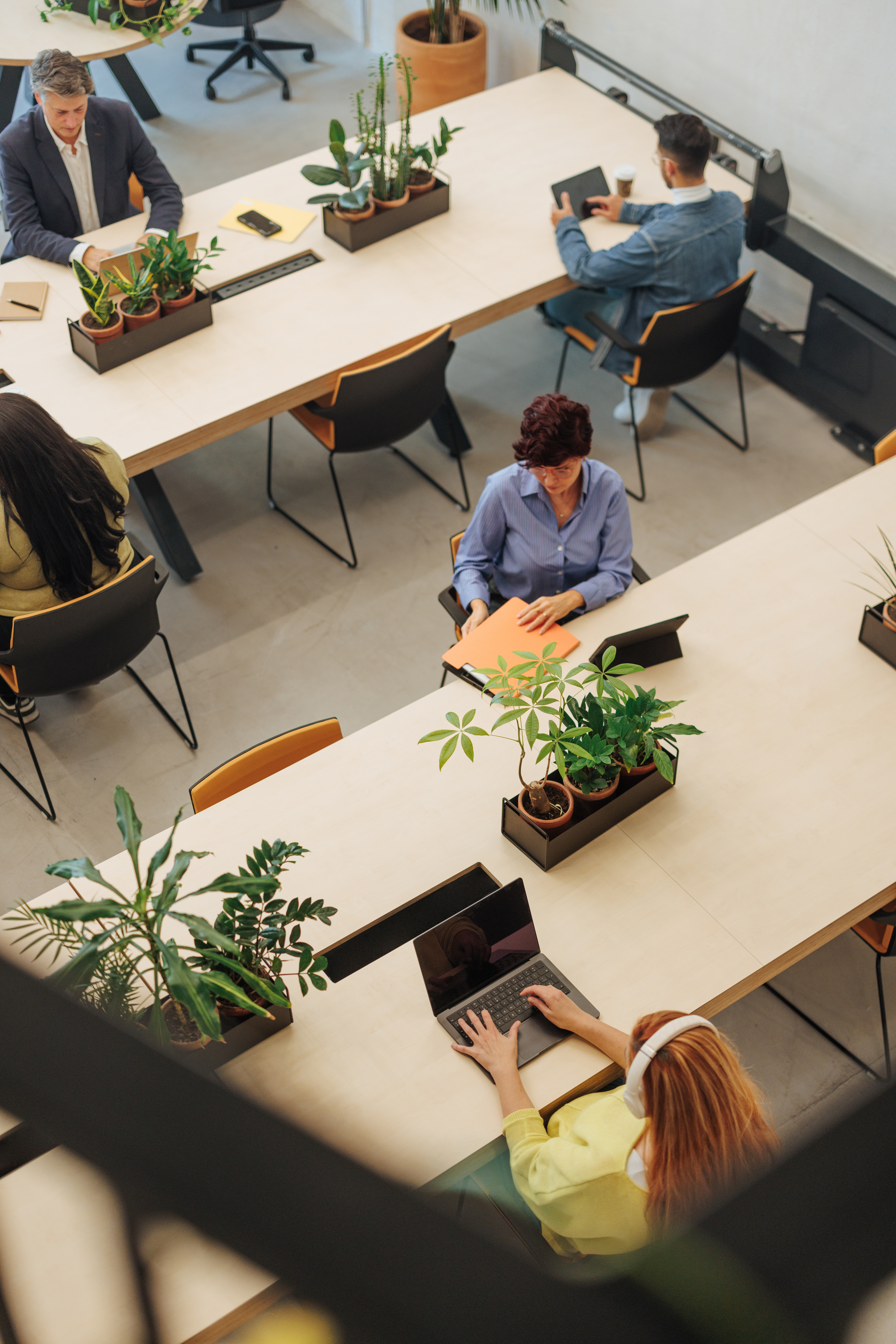 Business professionals working together in a shared office